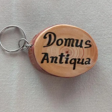Domus Antiqua San Lorenzo Apartment *
