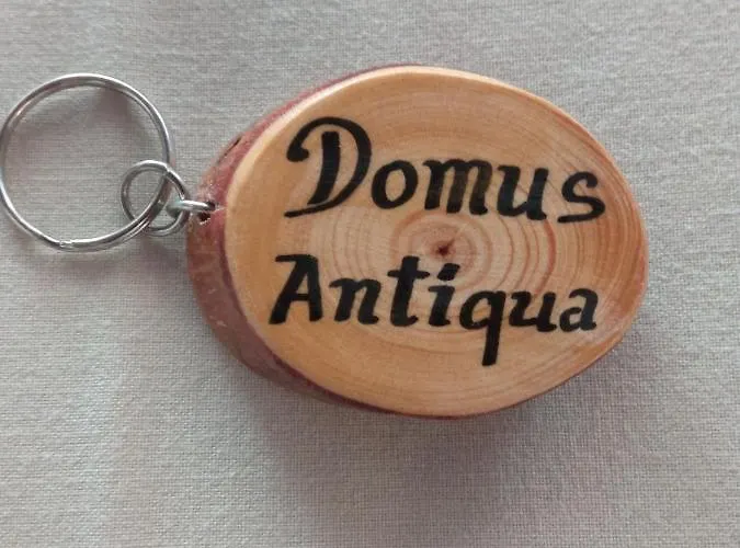 Domus Antiqua San Lorenzo Lejlighed *